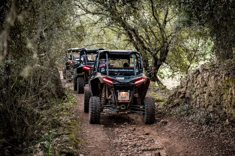 Buggies seen from behind on a narrow forest track beside a stone wall