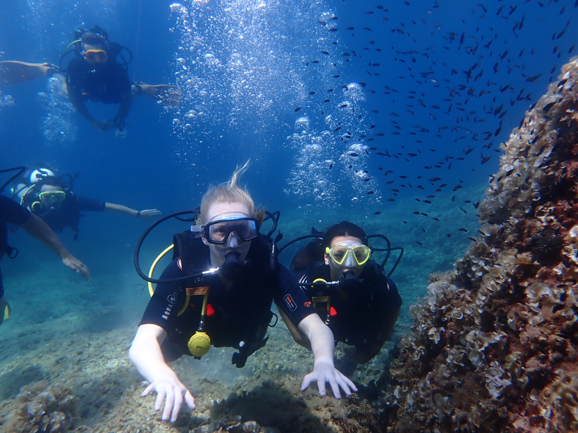 Divers exploring a reef in Mallorca surrounded by fish