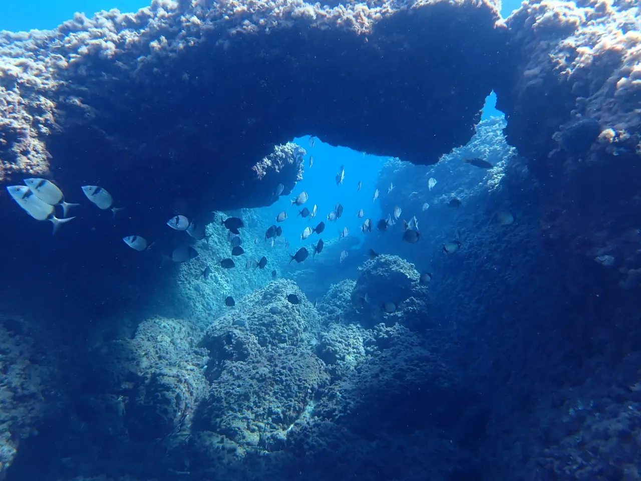 Underwater rock arch with a school of fish swimming through the opening